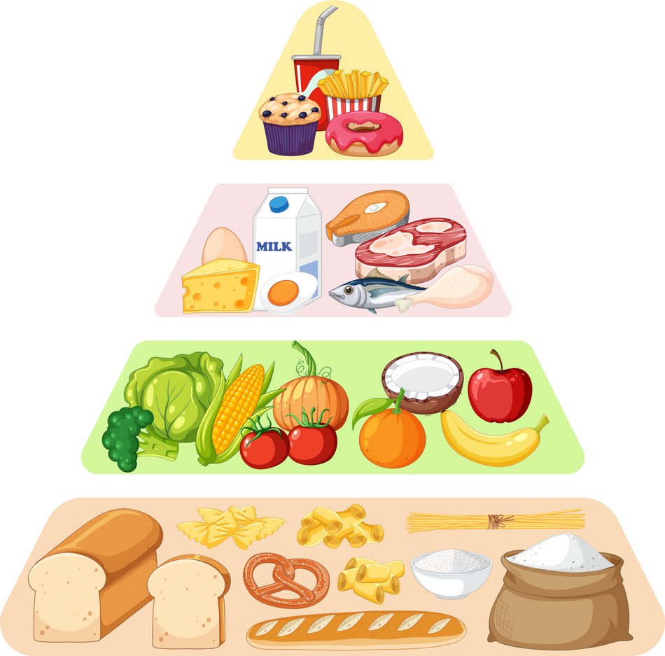 Food Nutrition Groups Pyramid